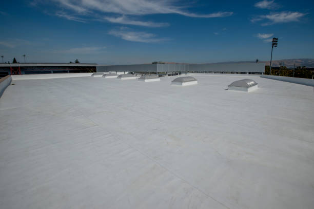 Best Roof Moss and Algae Removal  in Dublin, CA