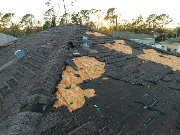  Dublin, CA Roofing Service Pros