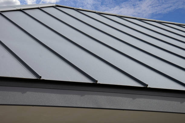 Best Roof Maintenance and Cleaning  in Dublin, CA